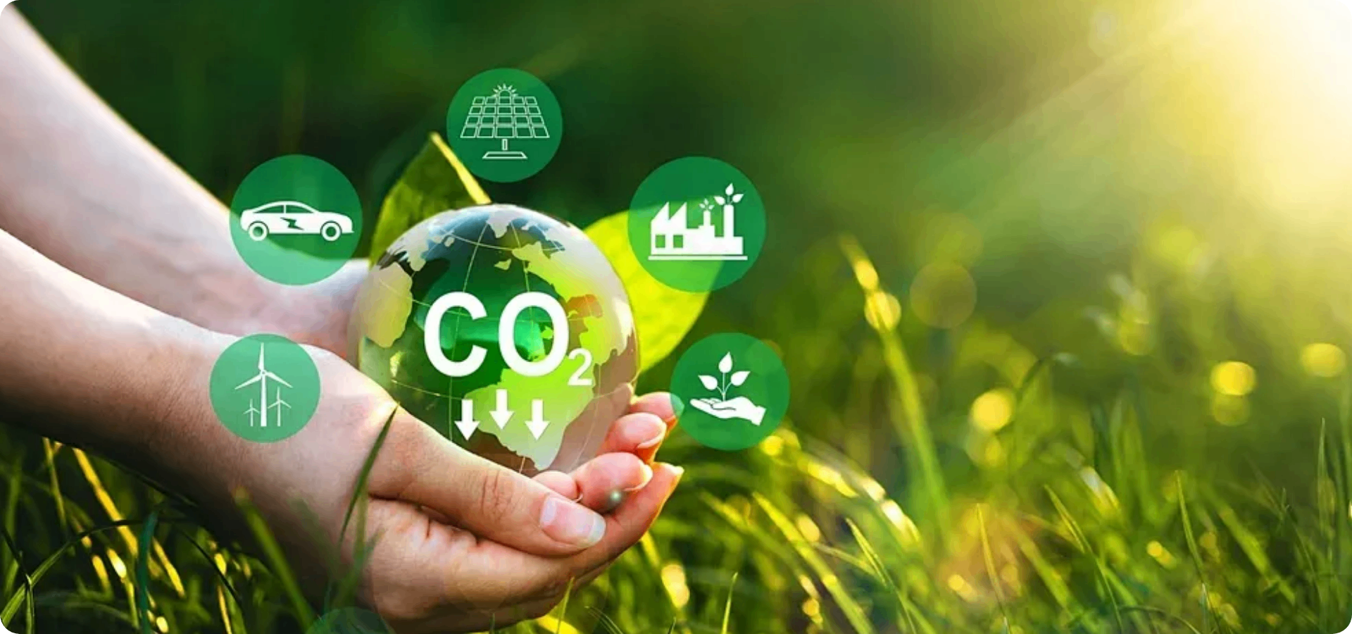 Carbon Footprint